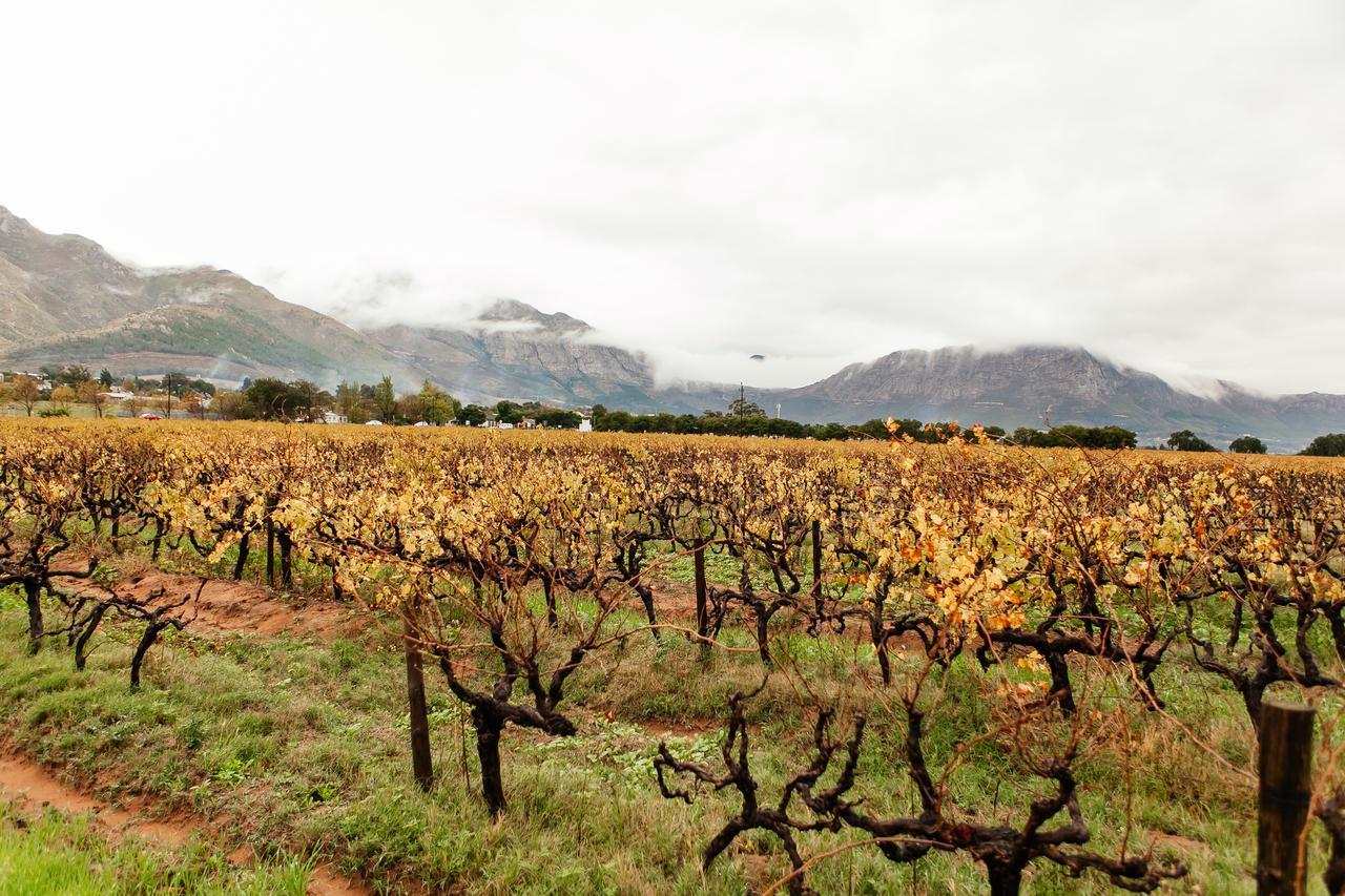 Basse Provence Country House Bed & Breakfast Franschhoek Dış mekan fotoğraf