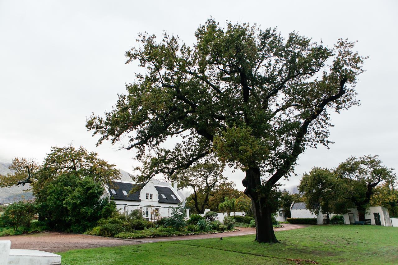 Basse Provence Country House Bed & Breakfast Franschhoek Dış mekan fotoğraf