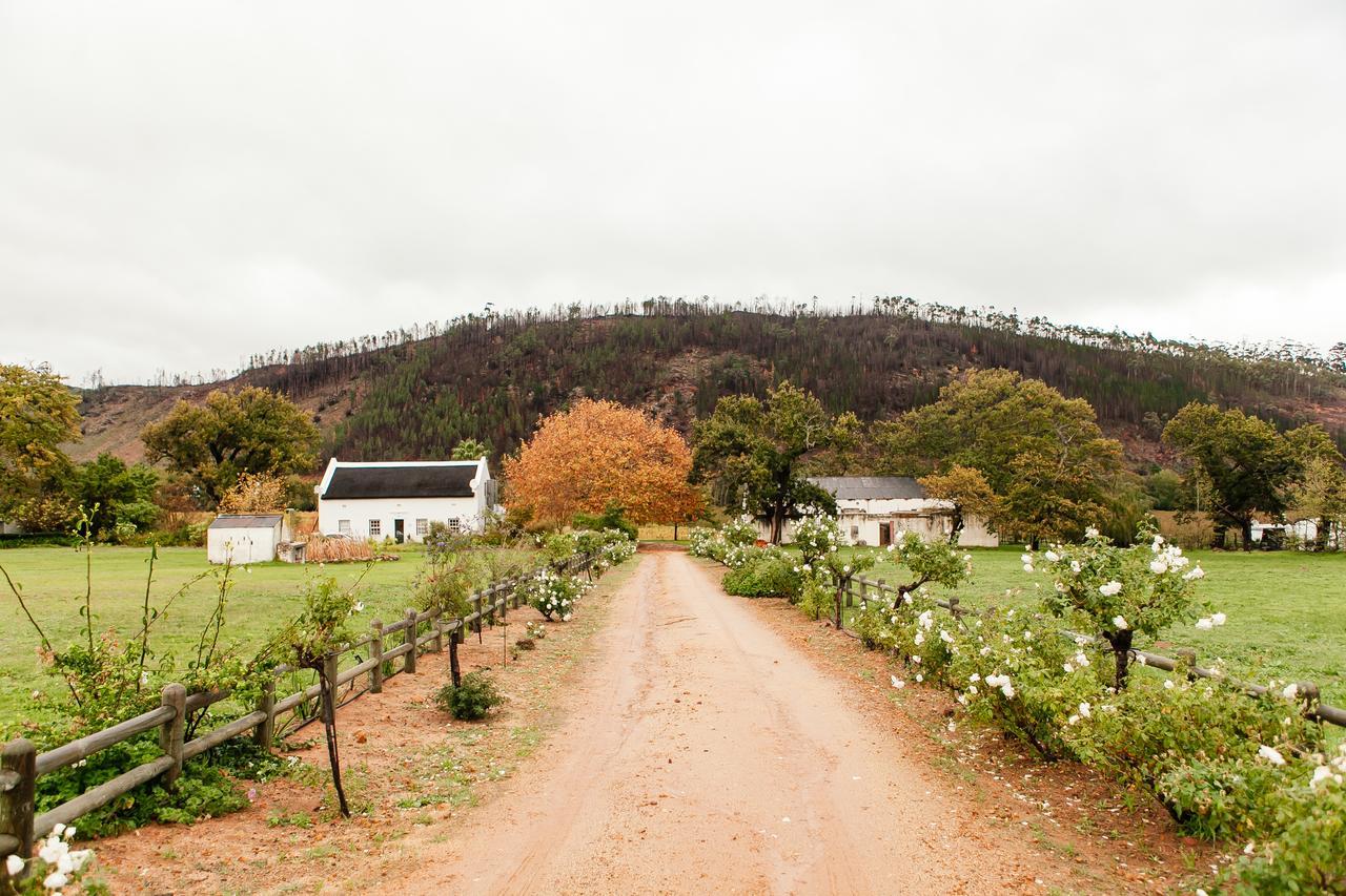 Basse Provence Country House Bed & Breakfast Franschhoek Dış mekan fotoğraf